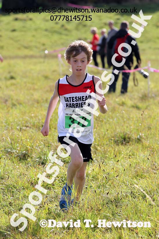 Boys under-13s, North East Harrier League, Cramlington. Photo: David T. Hewitson/Sports for All Pics
